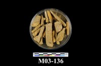 藏品(褐鐵礦)的圖片